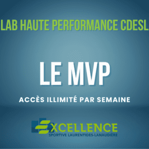 Le MVP : Accès illimités